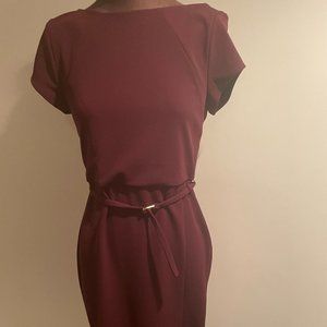 EXPRESS Professional work dress